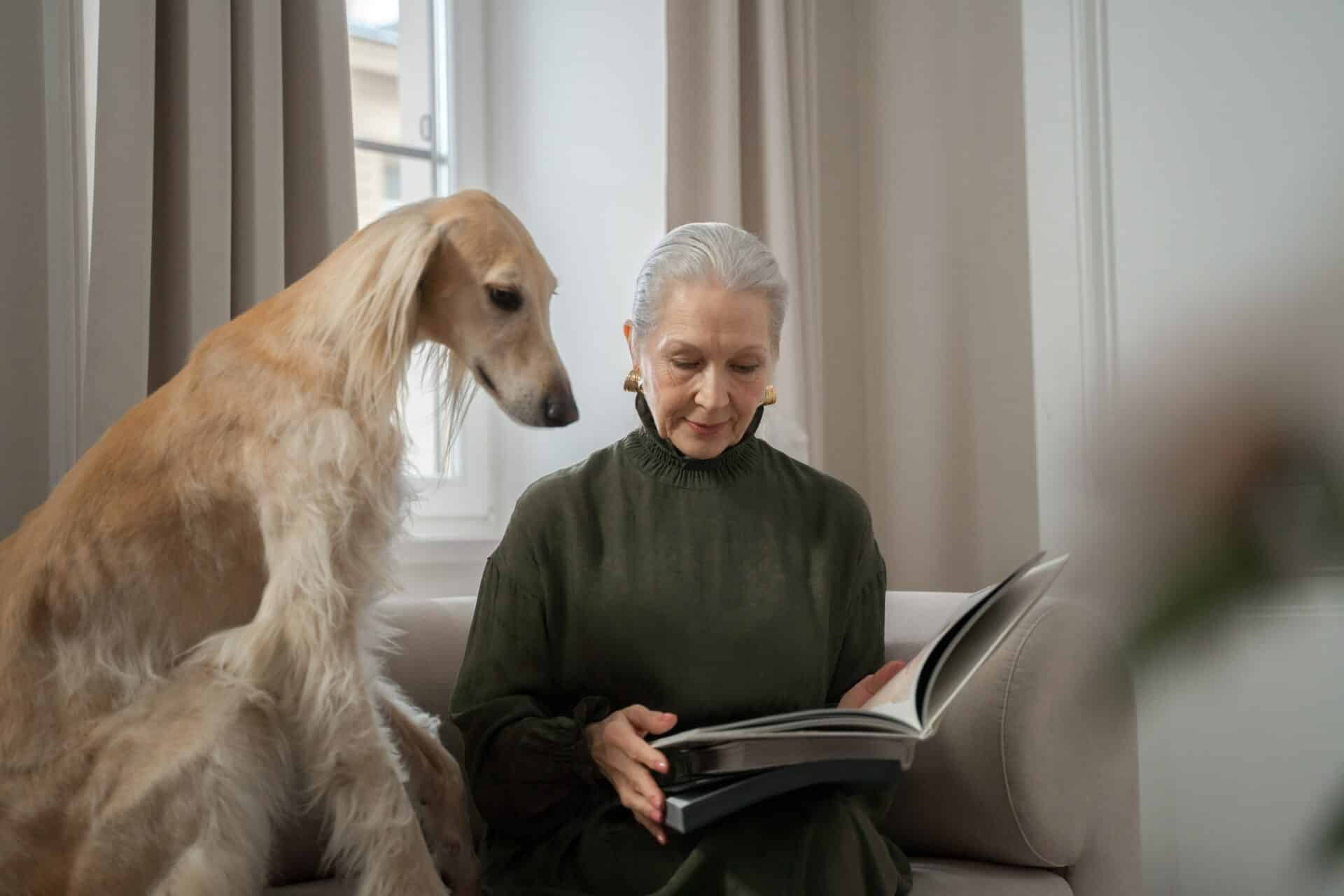 Pets for the elderly