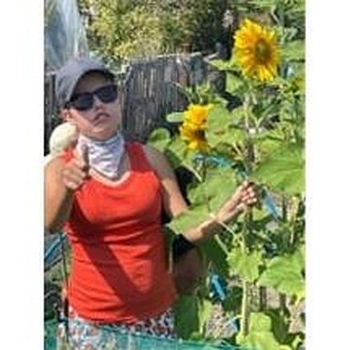 990 500 c91659 emily finished sunflower
