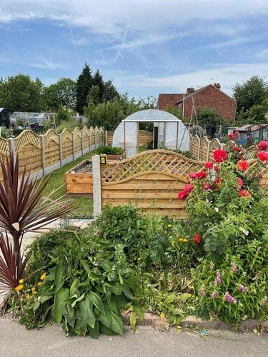 990 500 c91659 finished allotment