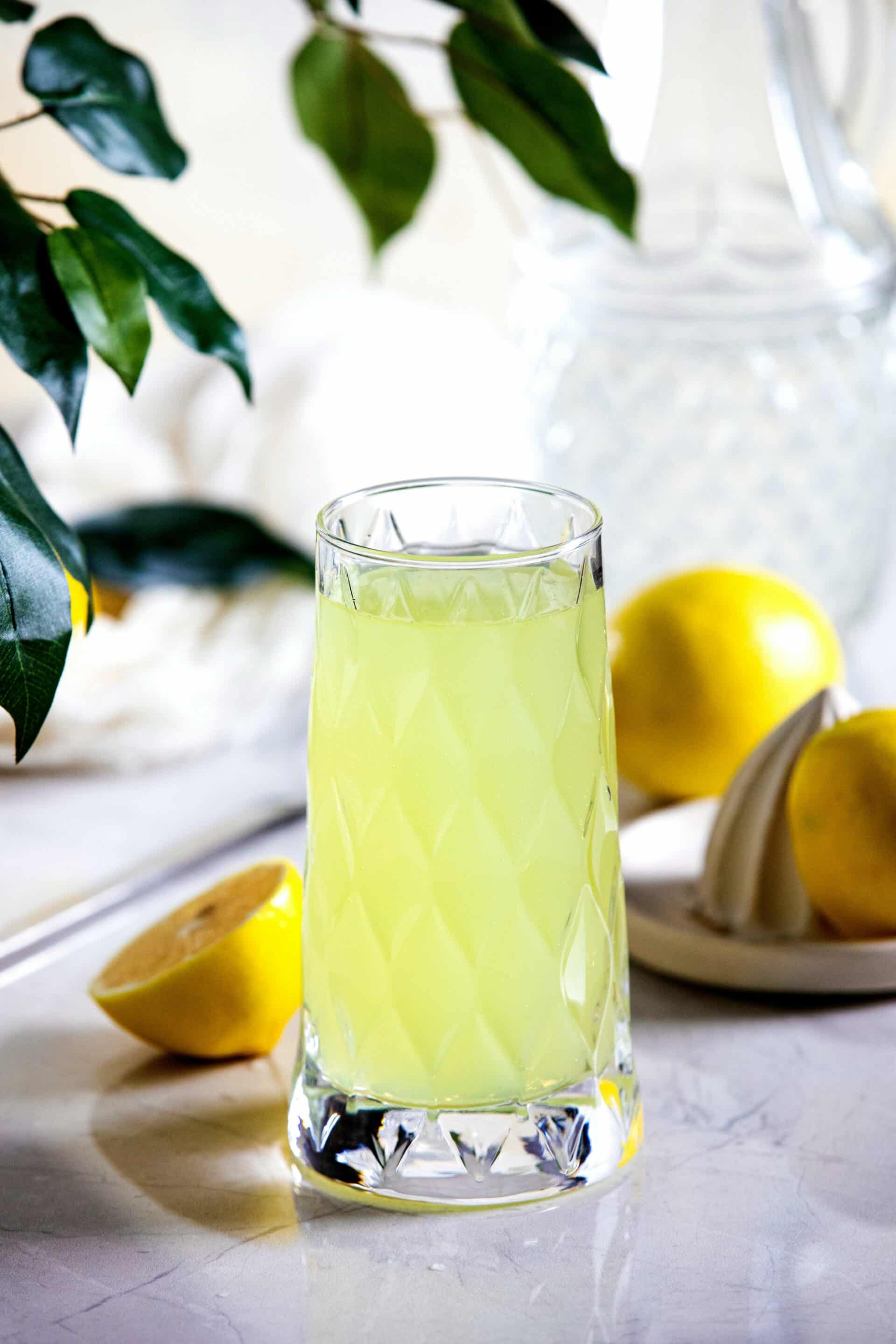 Best Way to Detox Your Body in 24 Hours