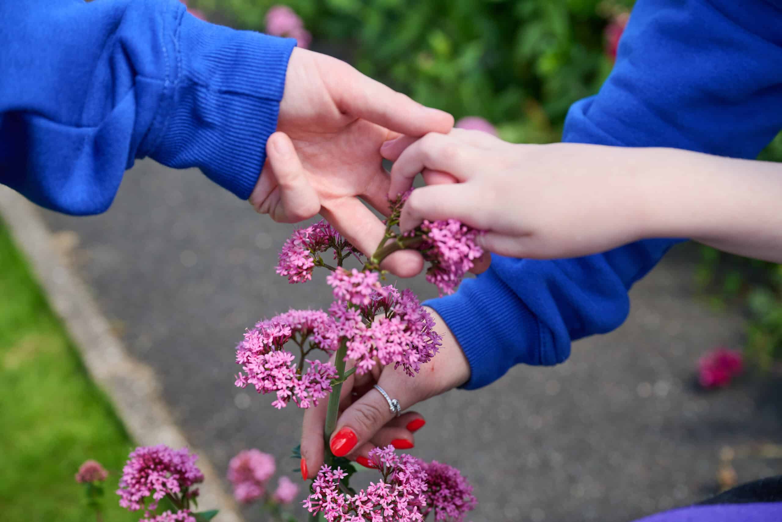 What is Complex Epilepsy Support?