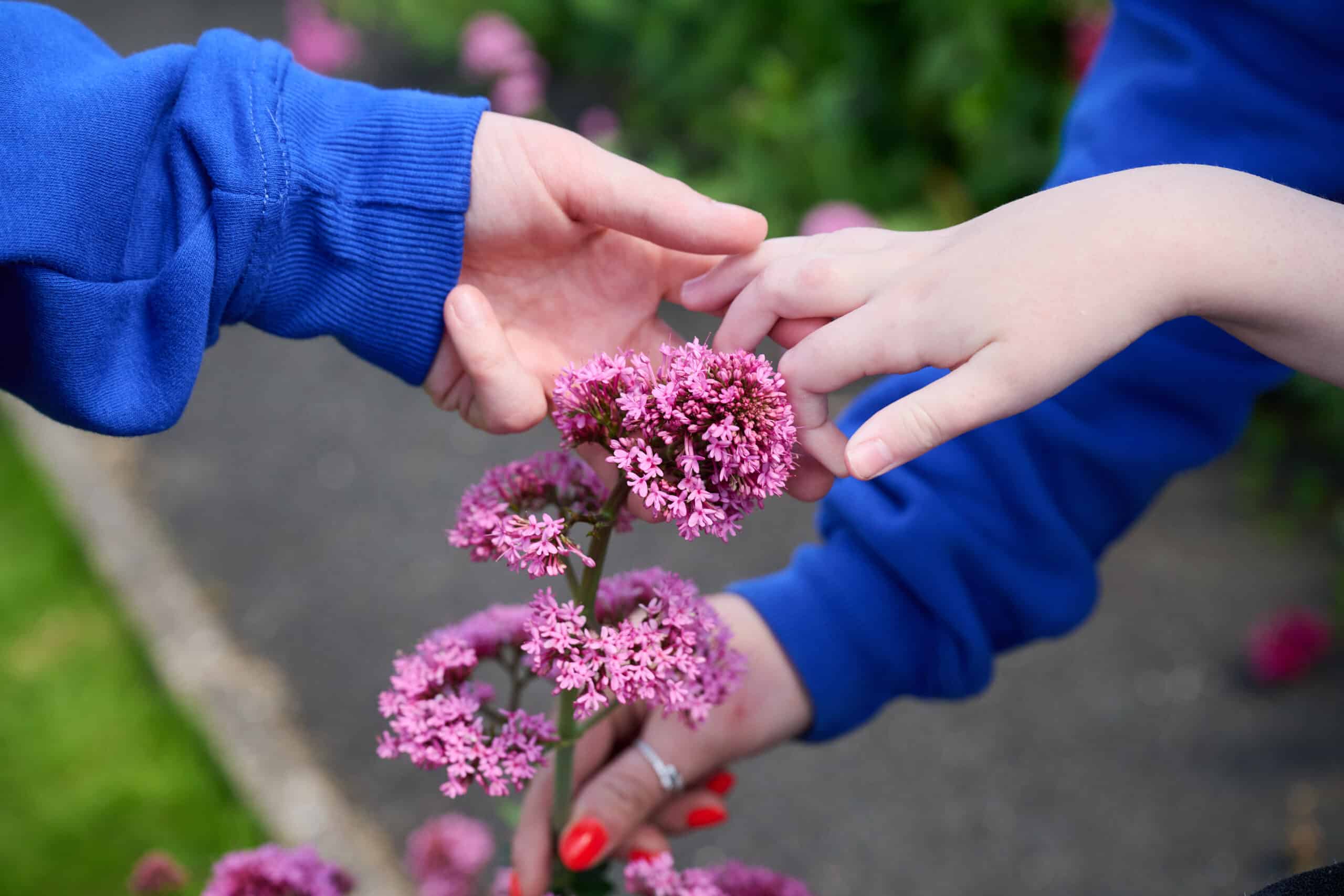 Autism Care and Support
