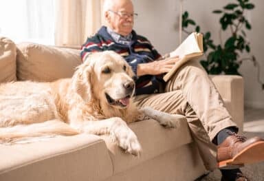 Home care Hitchin