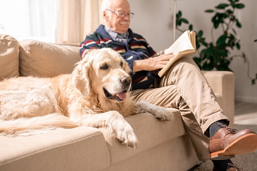 Home care Hitchin