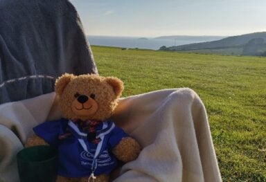 Yoshi, the Caremark care bear