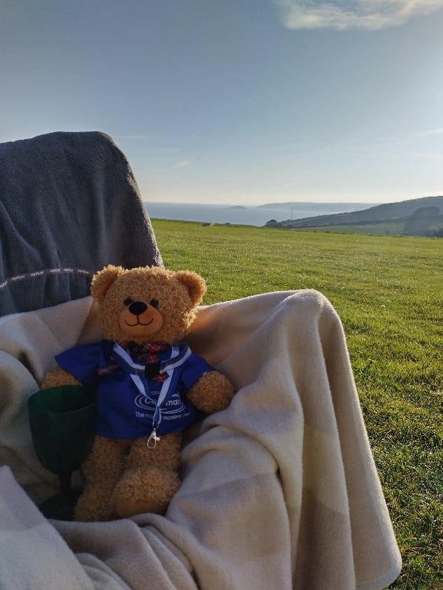 Yoshi, the Caremark care bear