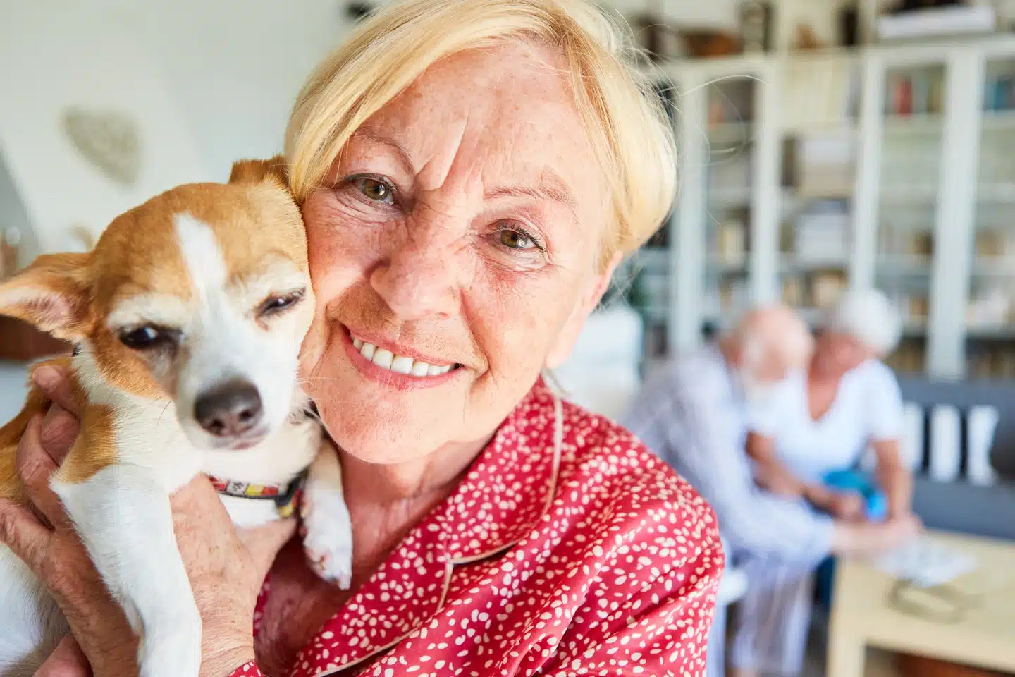 Care for Pets