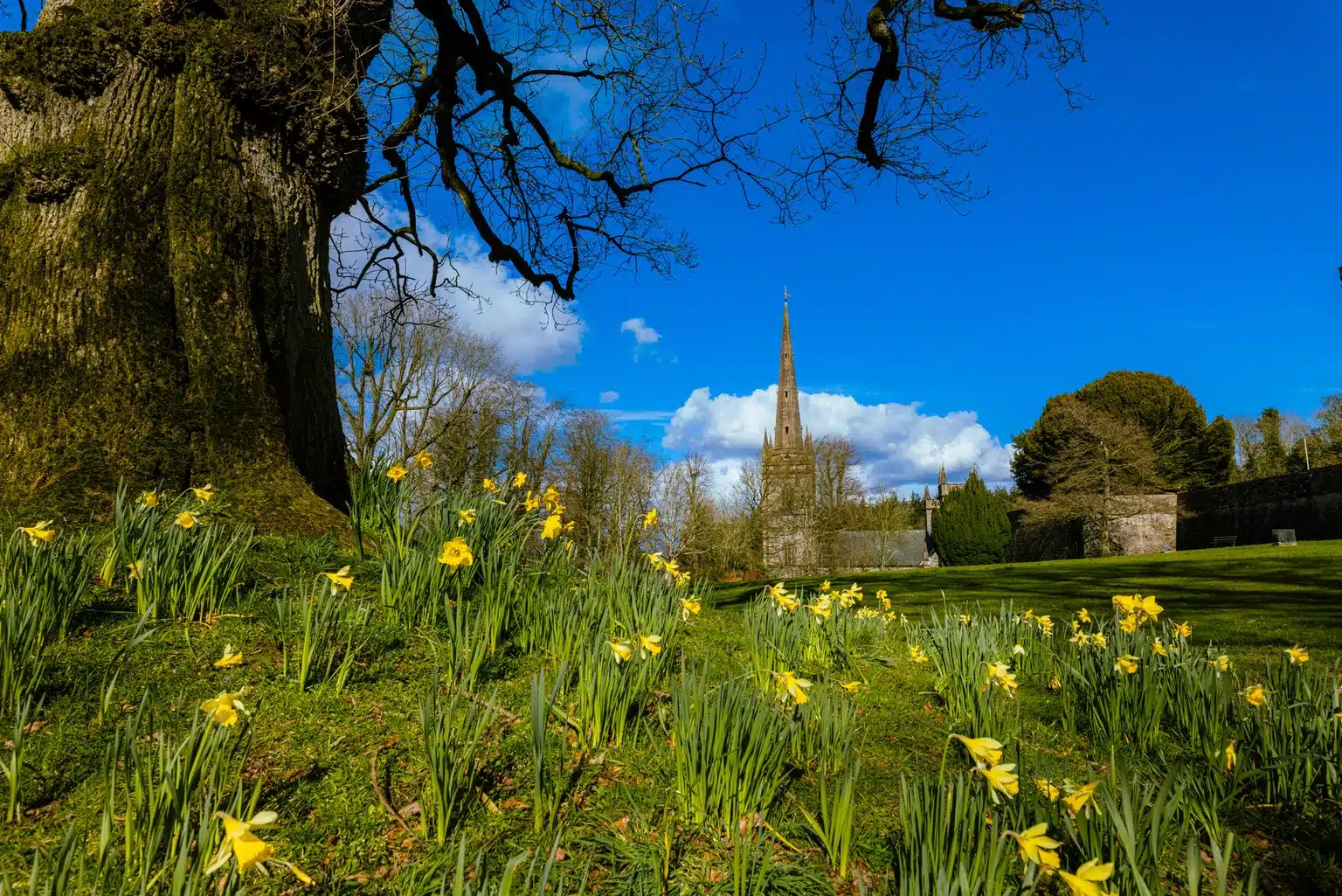 Home Care in Northern Ireland - Lisburn & Downpatrick