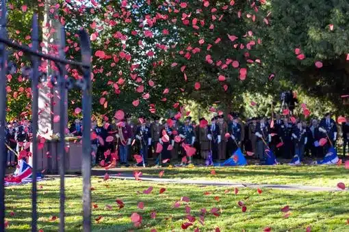 A group of uniformed military personnel and veterans stand in formation at an outdoor Remembrance Day ceremony, with red poppy petals showering down from above like confetti. A cenotaph monument is visible behind a wrought-iron gate on the left, Union Jack and other flags are held by participants, and green trees form the backdrop on a sunny day. Honouring Remembrance Day in Bedworth