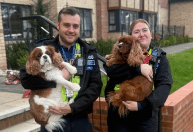 Caremark north herts and stevenage, iris court care home and hertfordshire police celebrate world kindness day