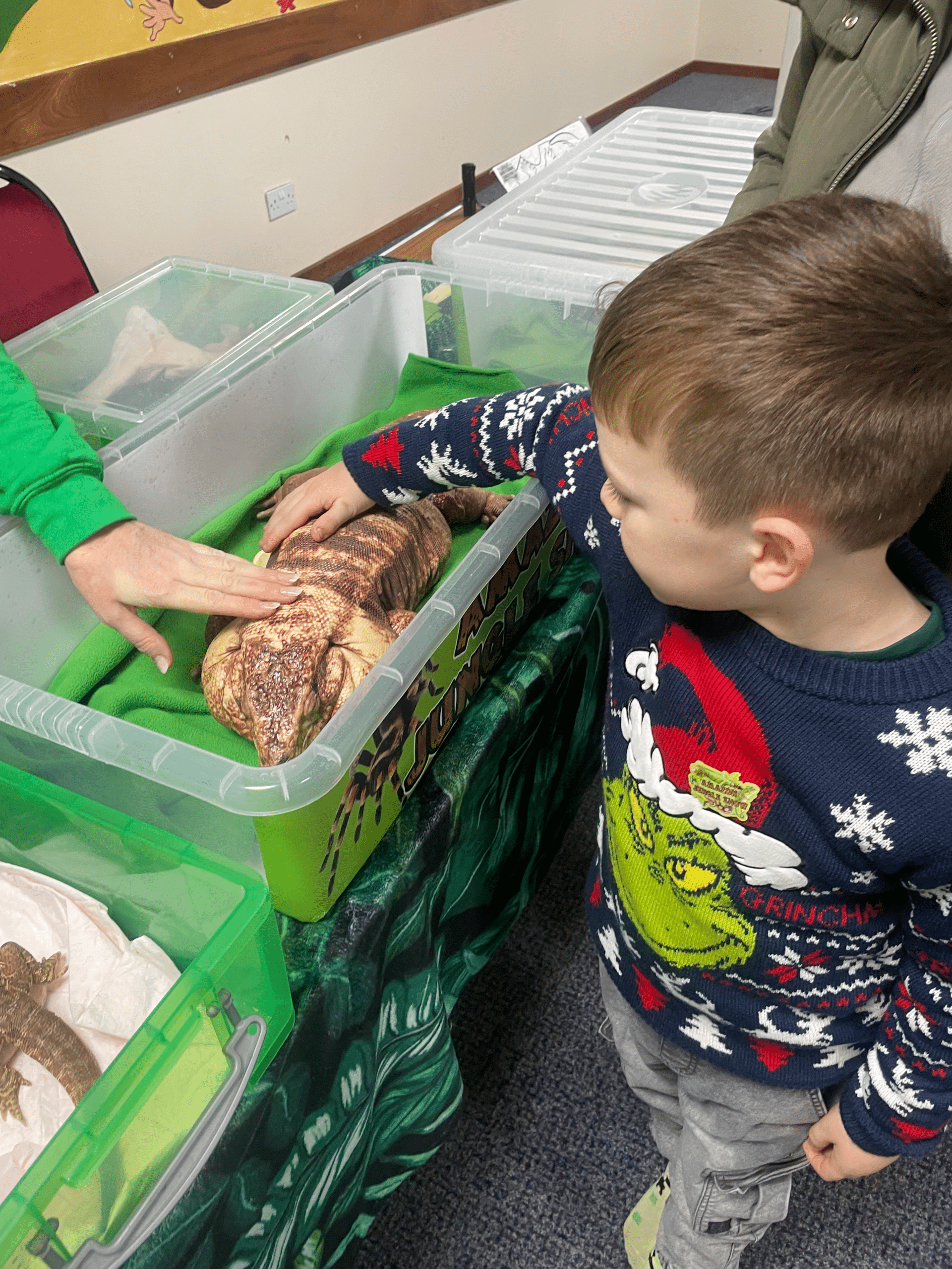 A young boy gently touching a lizard
