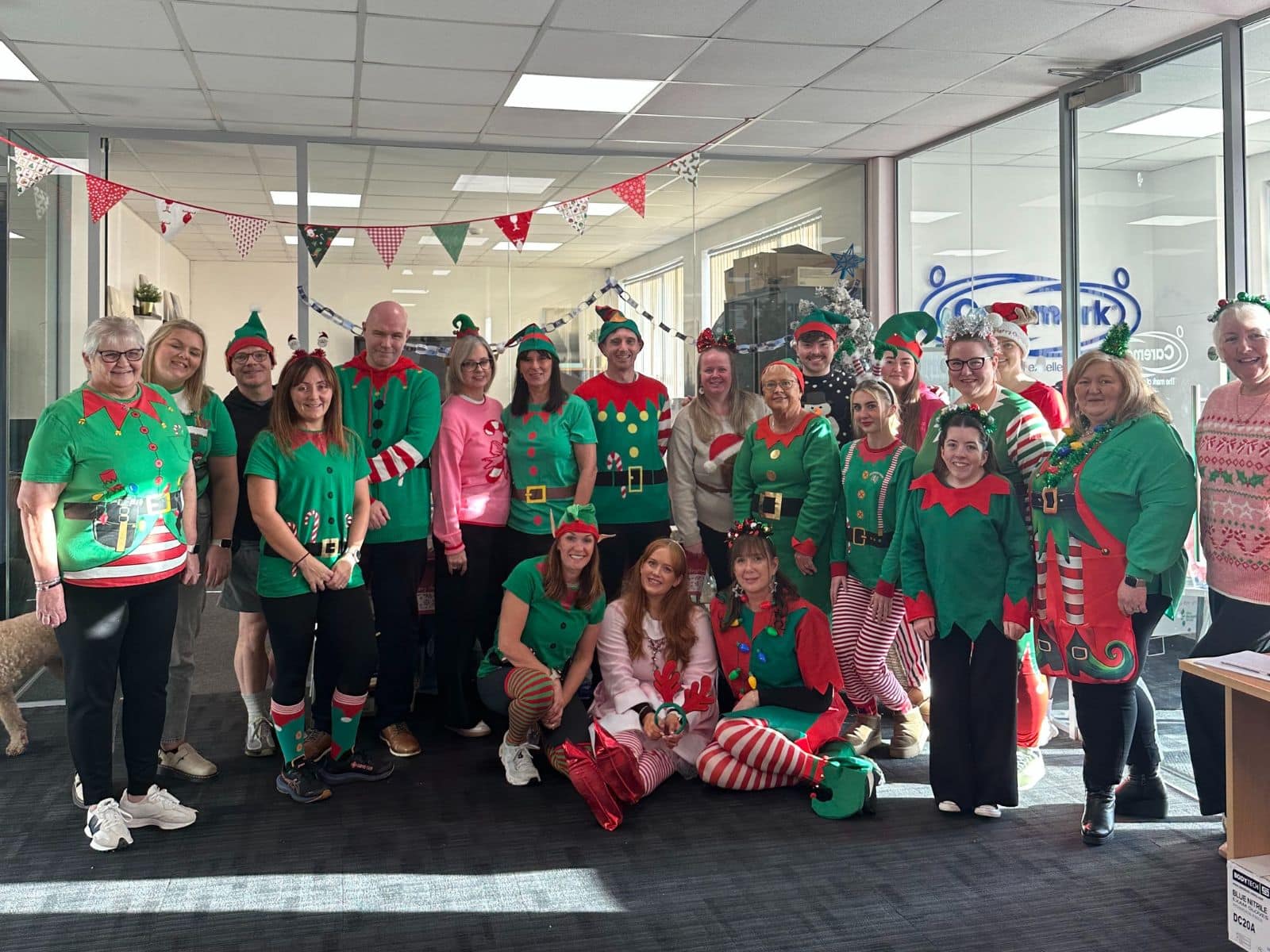Office staff dressed up as elves for Caremark NI’s Elf Day