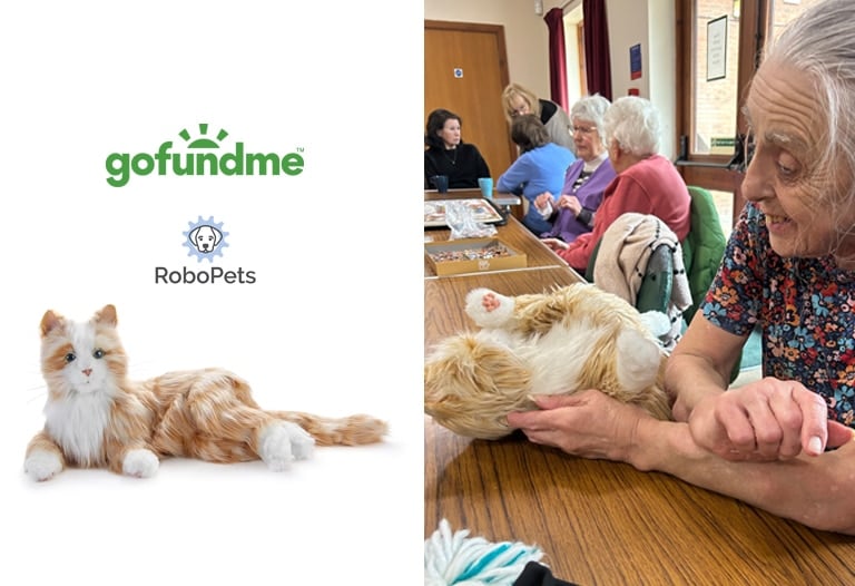 Caremark Pulborough and Horsham Go Fund Me campaign