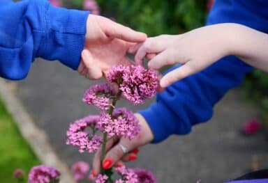 Multiple complex care conditions