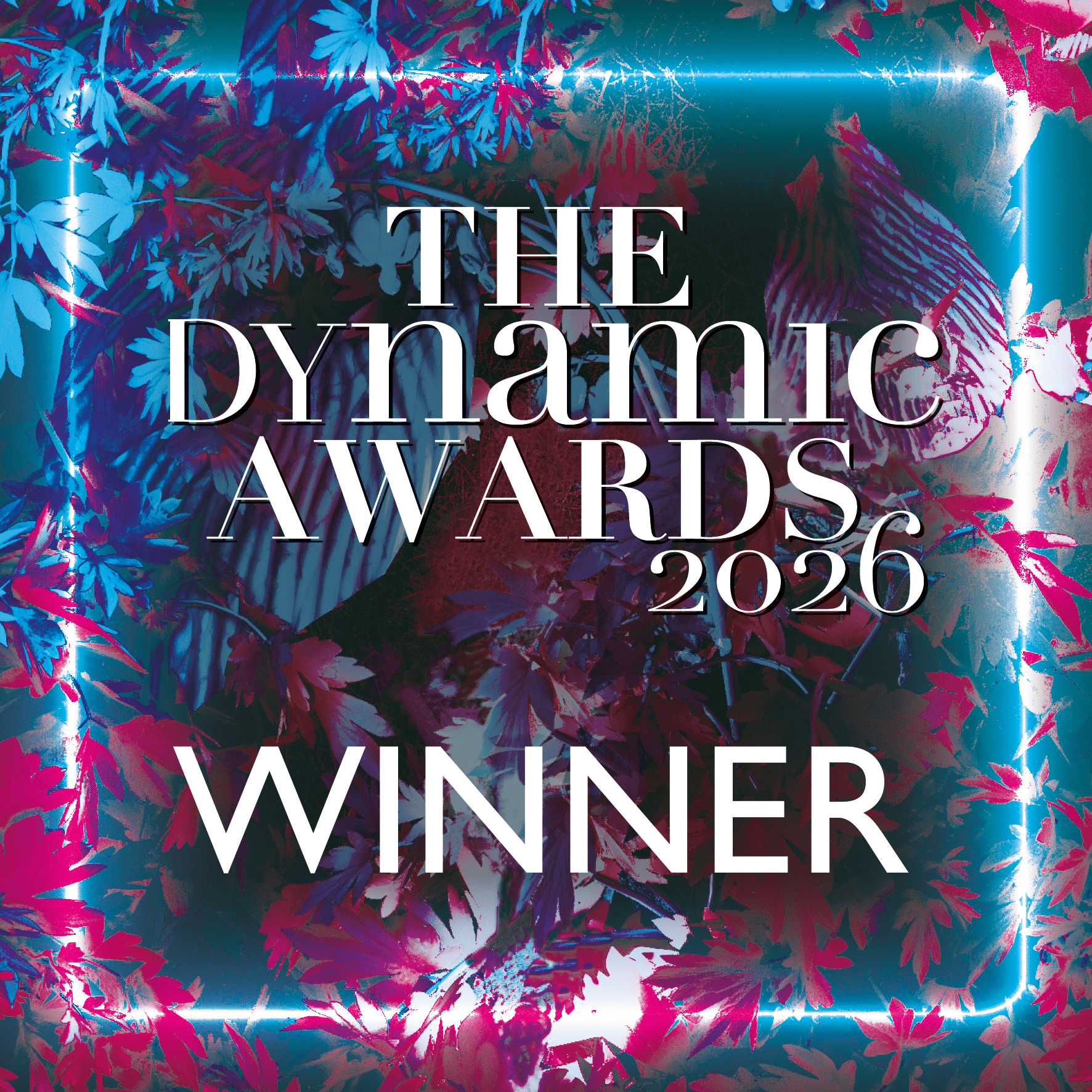 Dynamic Winner Sq ()