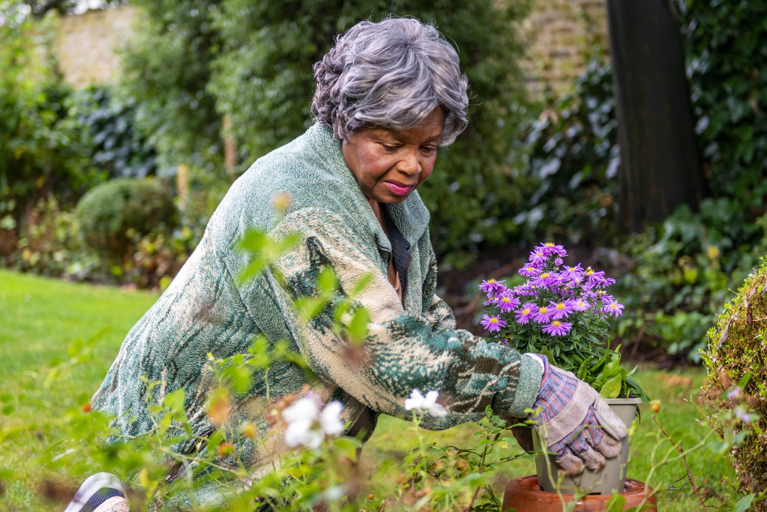 gardening activities for elderly