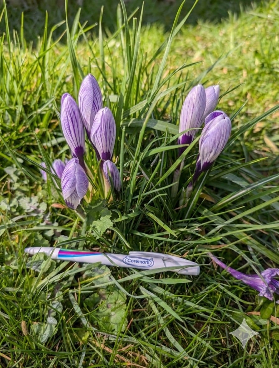 Embracing Spring