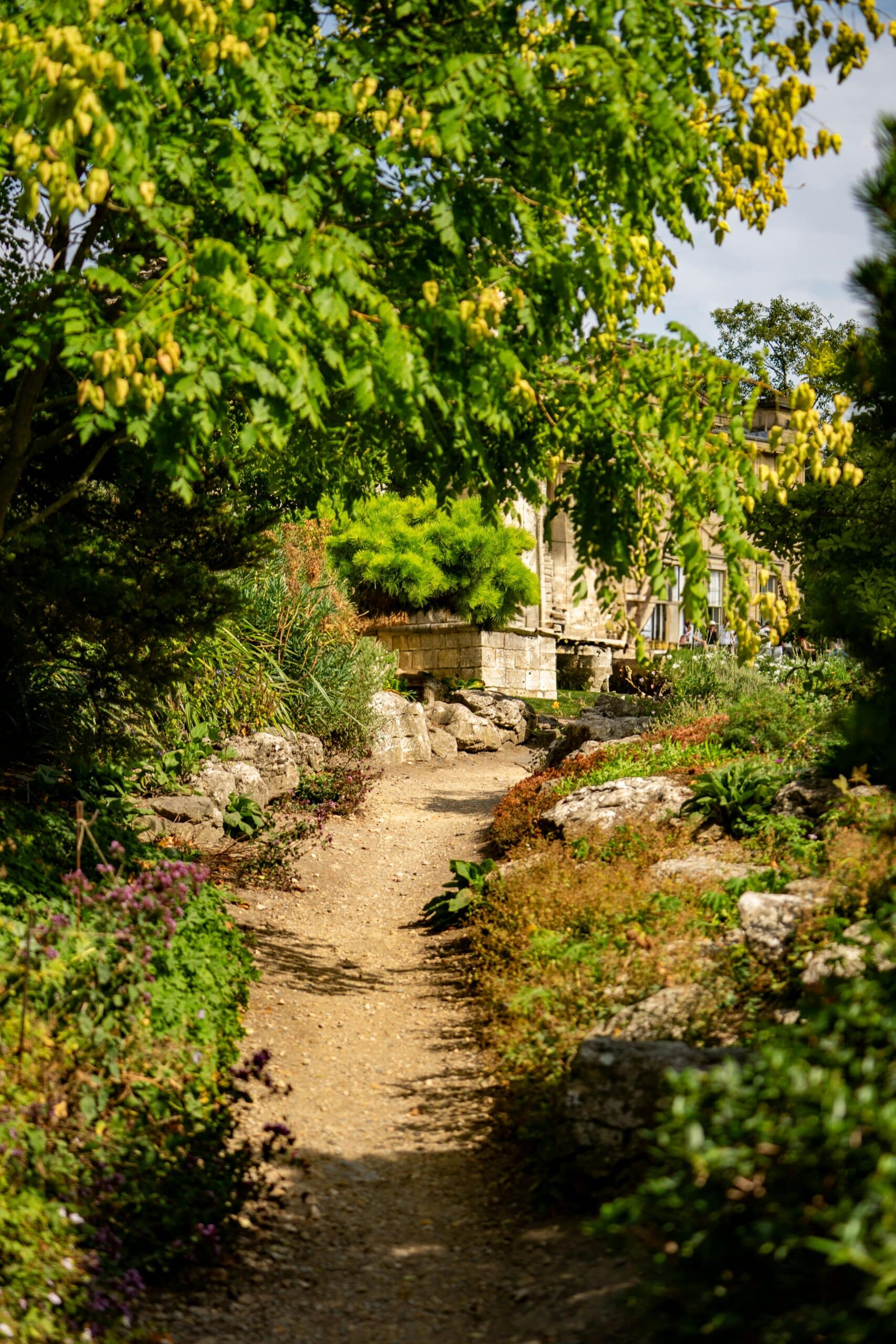 Garden in York for top 10 things to do in york for older adults