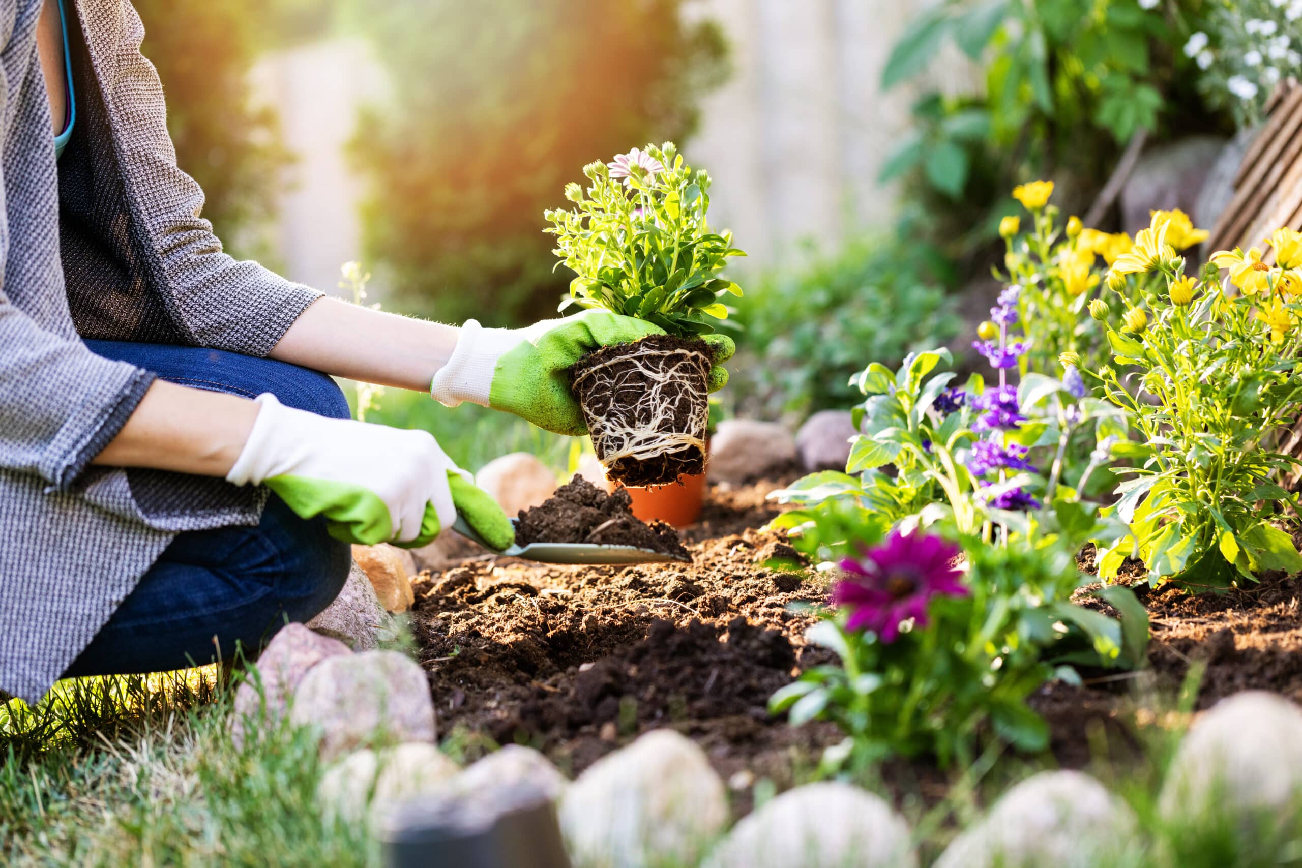 gardening activities for elderly