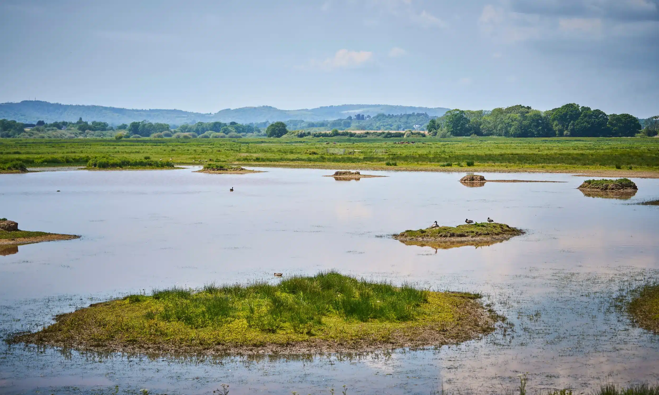 Mental Health Awareness Week - Pulborough Brooks - Pulborough, West Sussex