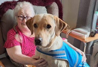 our wonderful therapy dogs