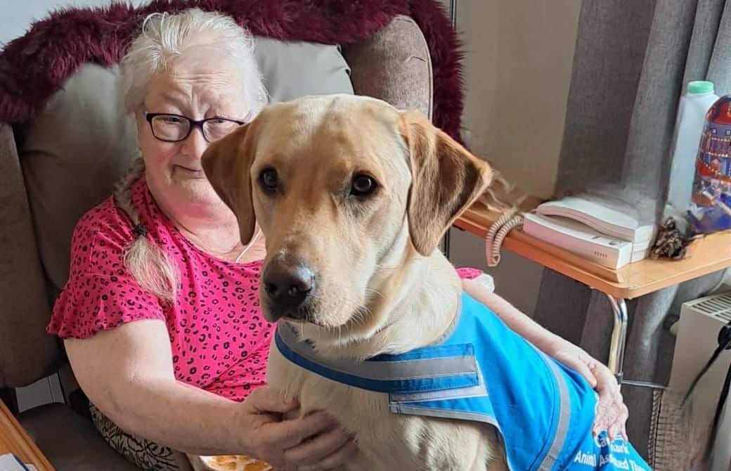 our wonderful therapy dogs