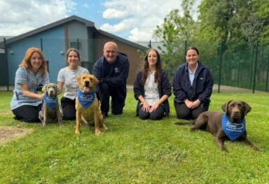 Positive impact of dog therapy