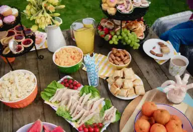 picnic ideas for elderly