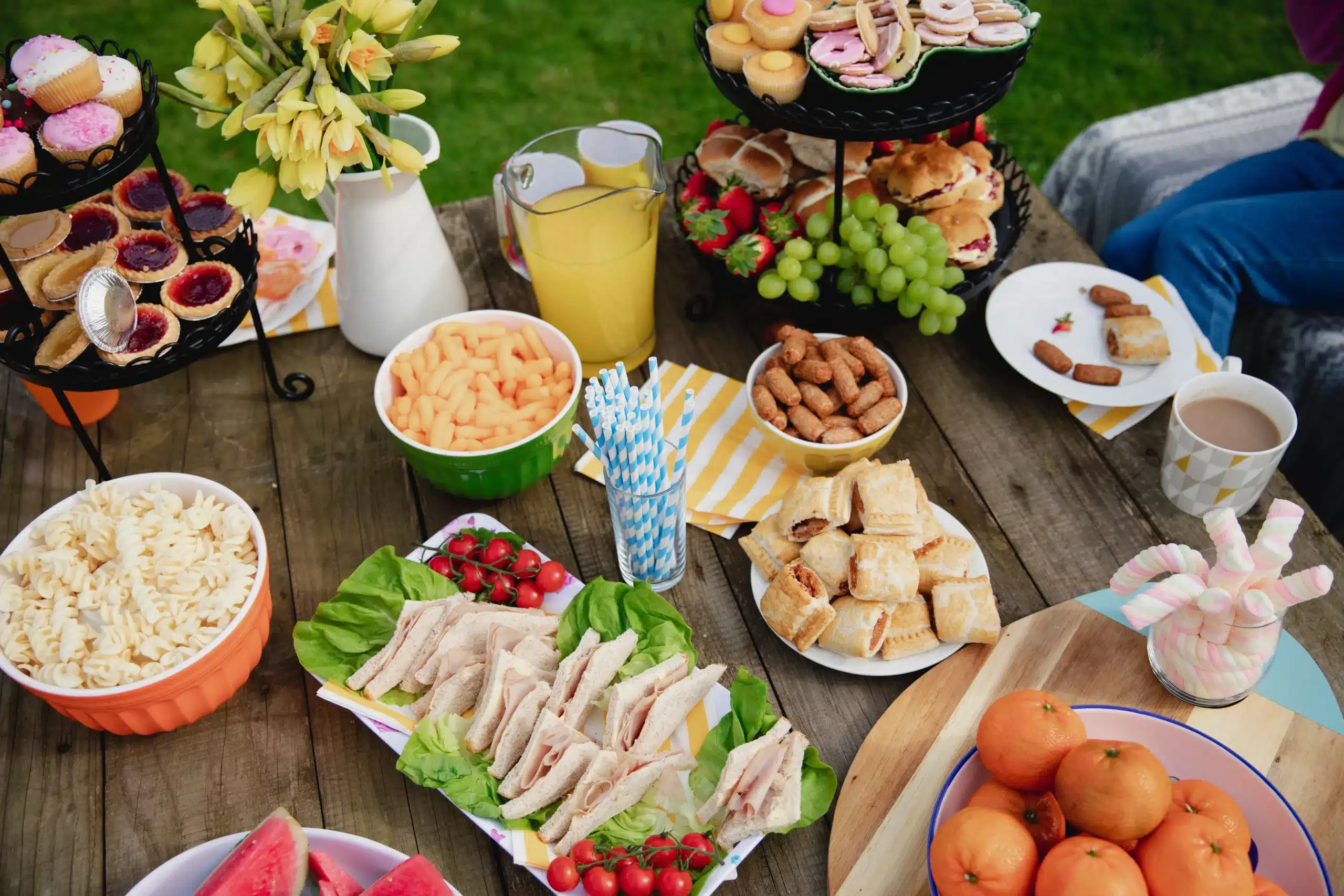 picnic ideas for elderly
