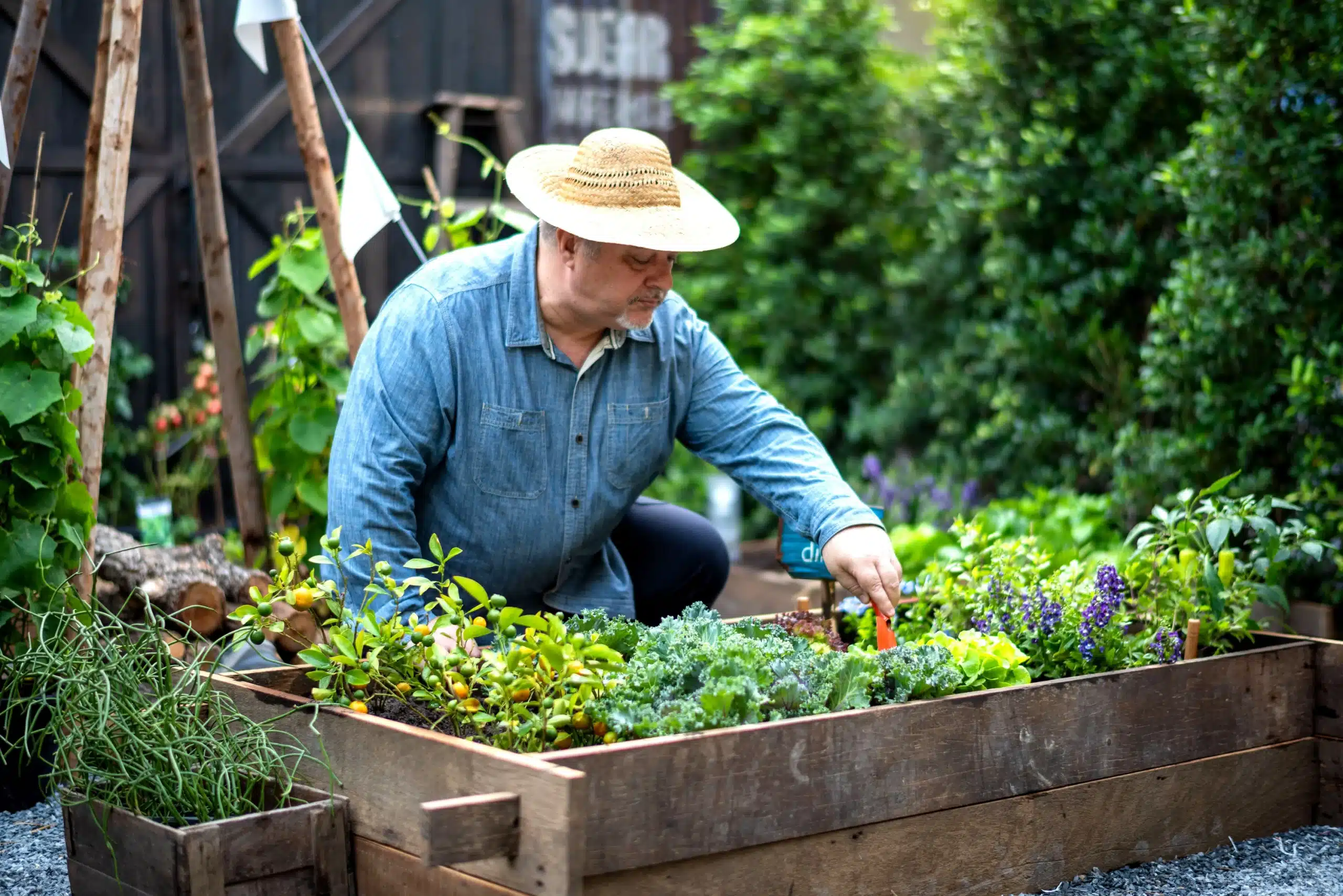 low-maintenance garden ideas for the elderly