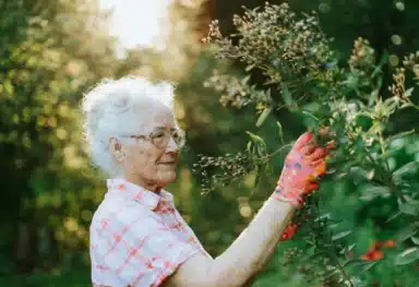 low-maintenance garden ideas for the elderly