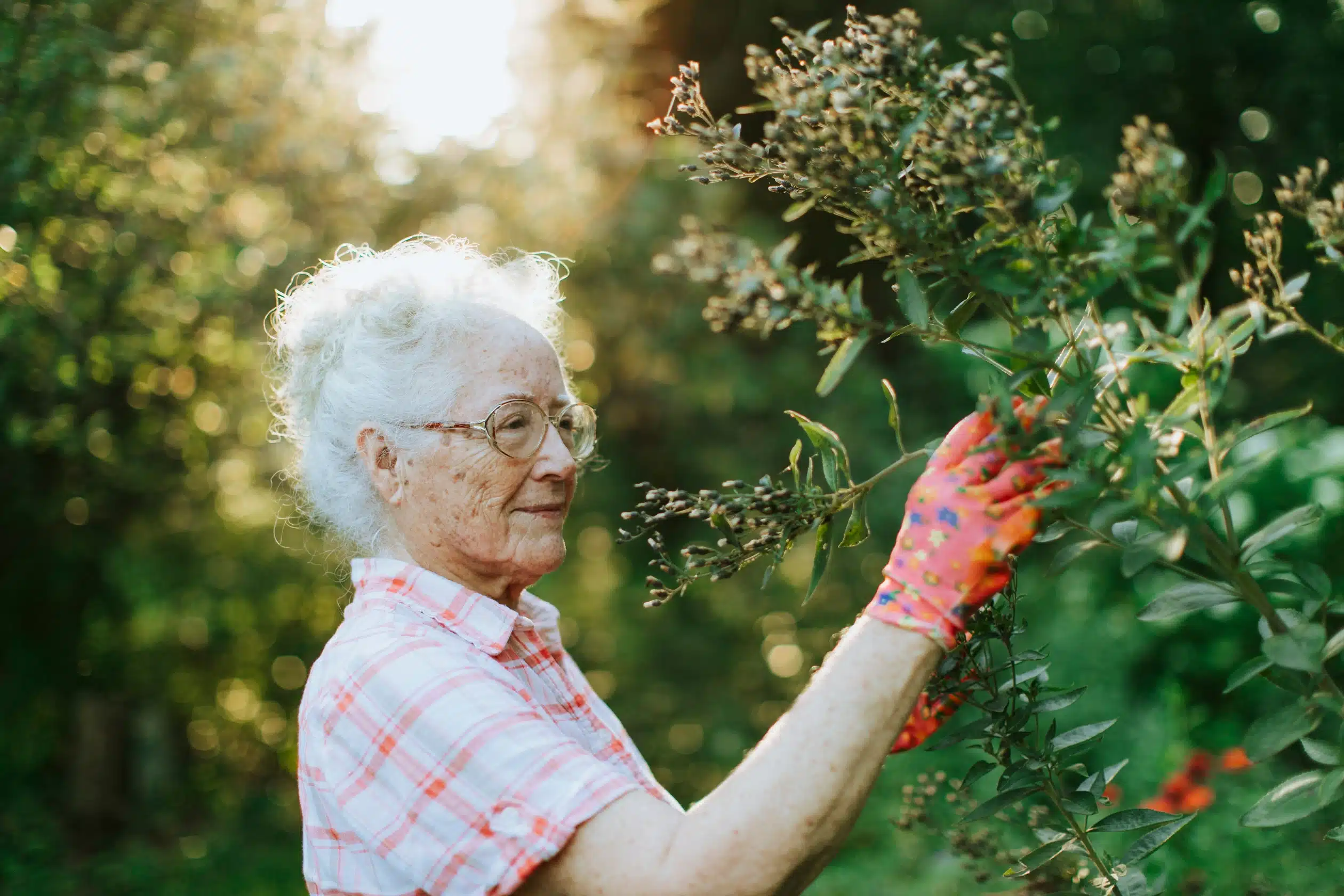 Low-Maintenance Garden Ideas For The Elderly: Safe, Simple and Enjoyable