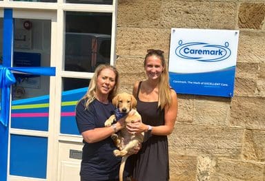 Clever temperament needed to become a therapy dog