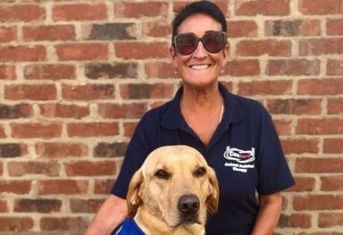 Canine dog therapy