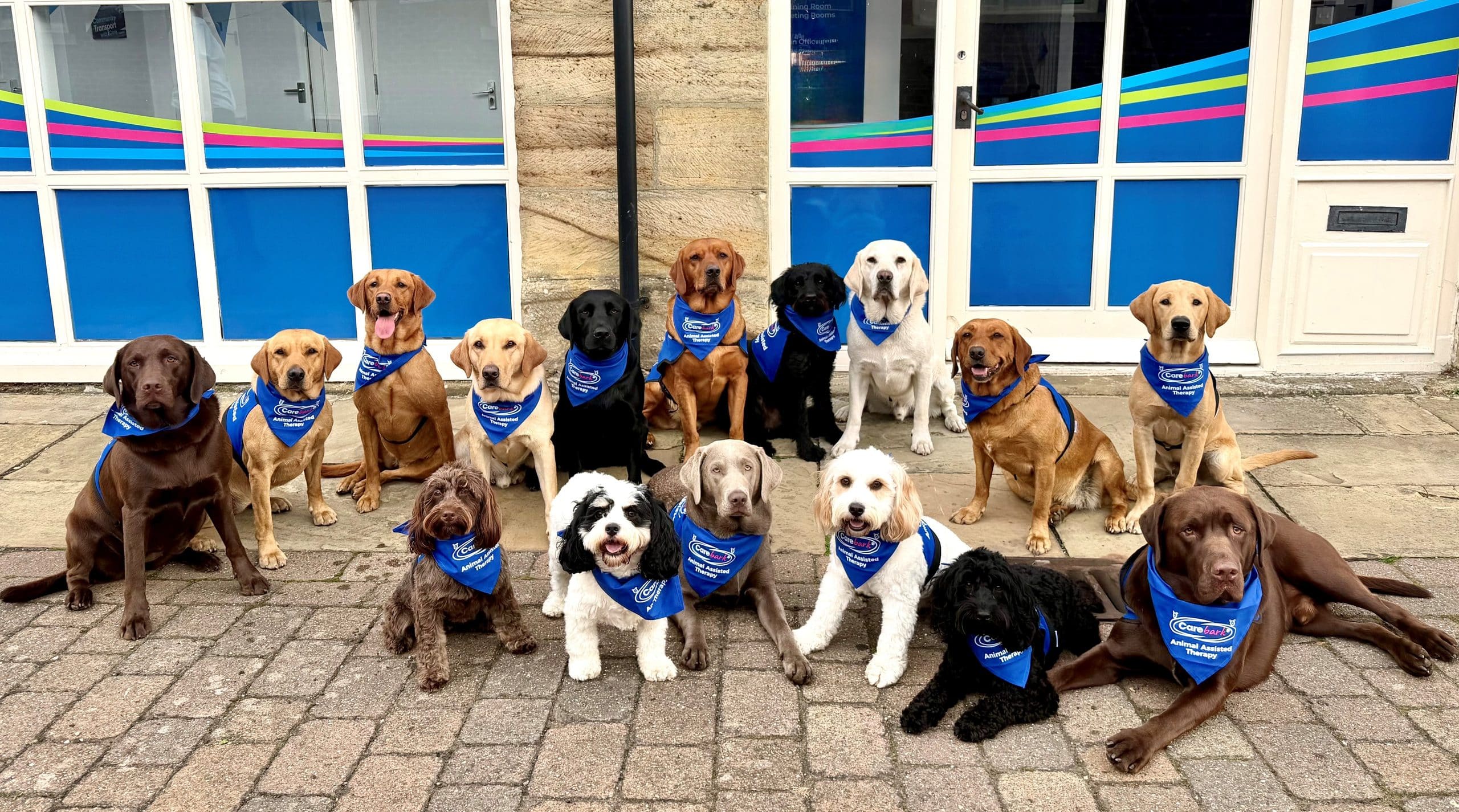 Therapy dogs Sept